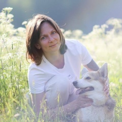 Тома Изюм, Владимир