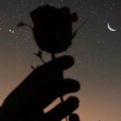 Владислав Кросс, 28.03, Киев