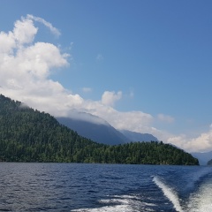 Анастасия Зенкова, Новосибирск