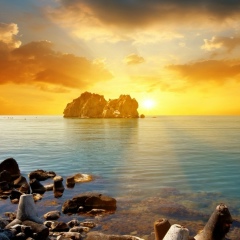 Юлия Миронова