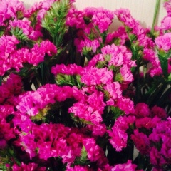 Ксения Ксения, 01.05, Москва