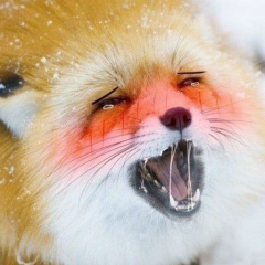 Дима Дубина, Днепр (Днепропетровск)