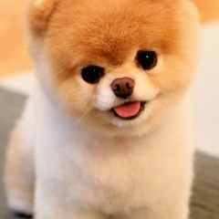 Анюта Вебер, 10.12, Москва