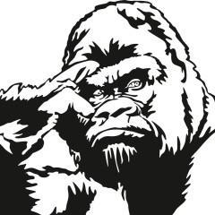 Александр Авдеев, 27.11, Санкт-Петербург