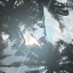 Юля Труфанова, Санкт-Петербург