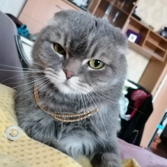 Вадим Аврамчук, 09.05, Ярославль