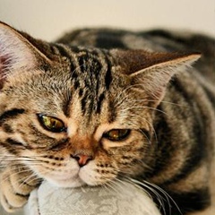 Наталия Емчук, 01.07.1988, Киев