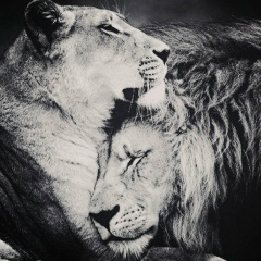 Жанарчик Буламбаева, 21.08.1992, Караганда