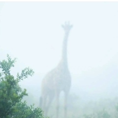 Евгений Прохоров, 31.12.1985, Москва