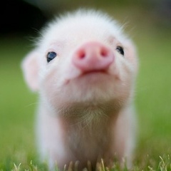 Анатолий Рыжов, 14.01.1989, Москва