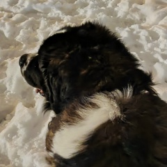 Ирина Смирнова, 18.02