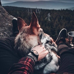 Вячеслав Адонин, 28.03.1989, Москва