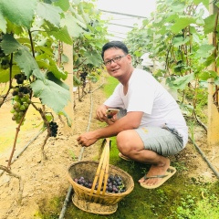 Ko-Thein-Kha Mdy, Mandalay