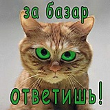 Максим Кладовщиков, Ковров
