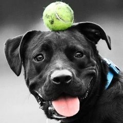 Ксения Кулеш, 07.08.1982, Санкт-Петербург