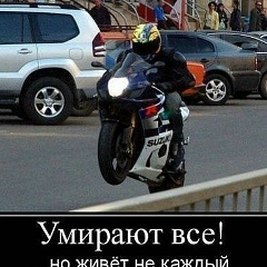 Тумсо Дадаев, 08.11.1994