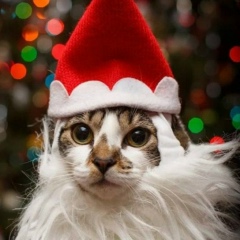 Денис Басыров, 26.06