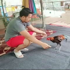 ซุ้มไก่ชน ณภัทร, 11.10.1988, Bangkok