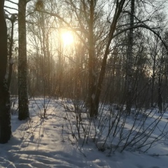 Алексей Романов, Томск