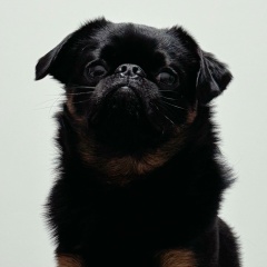 Елена Кощеева, 13.09