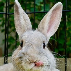 Алексей Полтавцев, 09.06, Москва