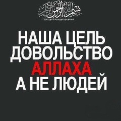 Ибрагим Шабаев, 14.04.1920, Грозный