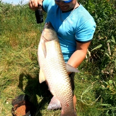 Виталий Шаповал