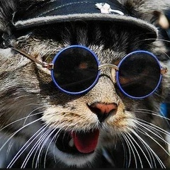 Алина Злобина, 22.04.1990, Москва