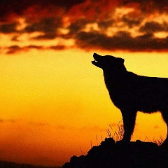 Сиражди Илисханов, 03.02.1999, Москва