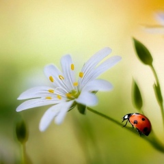 Sveta Nikolaeva, 10.03, Киев