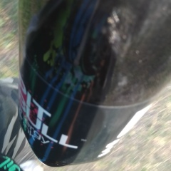 Роман Лис, 17.08.2001, Лебедин