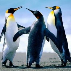 Муса Абдурахманов, 05.11.2000, Хасавюрт