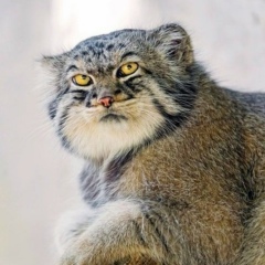 Дима Главатских, 28.12.1978, Борское