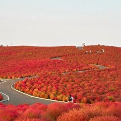 Александра Михневская, 29.08, Одесса