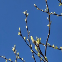 Лариса Барановская, 25.05, Санкт-Петербург