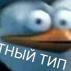 Михаил Шерстяных, Воронеж