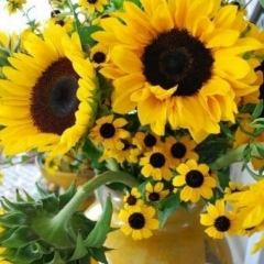 Виктория Мартемьянова, 19.05, Санкт-Петербург