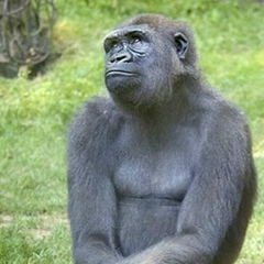 Алексей Ра, 01.09, Санкт-Петербург