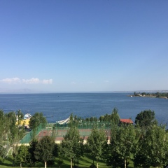 Ара Микаелян, Омск