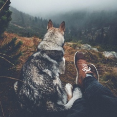 Kazbek Sagyngaliev, 11.01, Кульсары