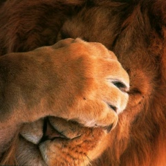 Светлана Леб, 07.07