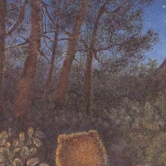 Анастасия Григорьева, 29.10, Красноярск