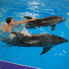 Михаил Семавин, 13.10.1985, Москва