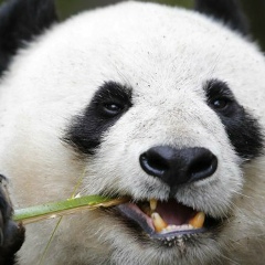 Андрей Бирюков, 05.10.1990, Киев