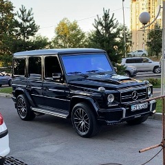 Зевс Зевс, Алматы