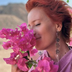 Мата Примак, 04.06