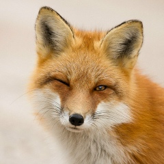 Дмитрий Козинов, 15.07, Елец