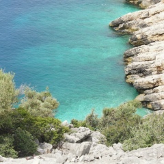 Елена Дамирова, Калининград