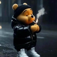 Винни Пухов, Новосибирск
