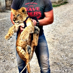 Абдулла Шатоев, 25.08, Иерусалим